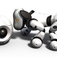 Noël 2013 : Où acheter Zoomer le robot chien en rupture de stock ?