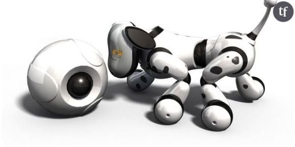 Noël 2013 : Où acheter Zoomer le robot chien en rupture de stock ?