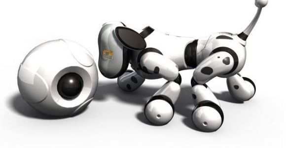 Noël 2013 : Où acheter Zoomer le robot chien en rupture de stock ?