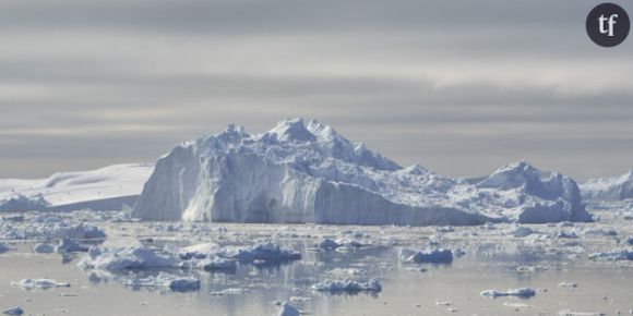 Un iceberg aussi grand que Manhattan dérive dans l'Antarctique - Vidéo