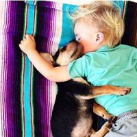 Theo et Beau : les siestes à croquer d'un petit garçon et son chiot - photos