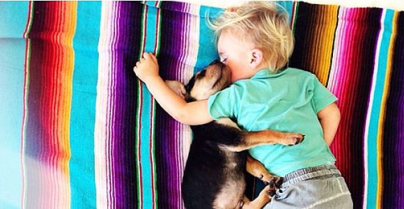 Theo et Beau : les siestes à croquer d'un petit garçon et son chiot - photos