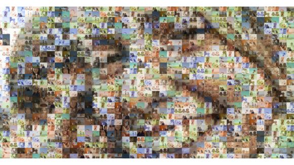 Moins d’une femme sur cinq aurait aimé être un homme