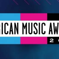 American Music Awards 2013 : les gagnants de la cérémonie