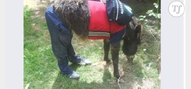 Le Bon coin : un âne copain de Serge le Lama à vendre