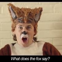 YouTube : "The Fox", l'étonnante vidéo la plus vue en 2013