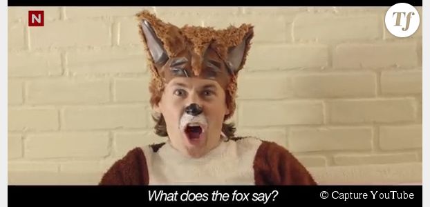 YouTube : "The Fox", l'étonnante vidéo la plus vue en 2013