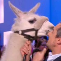 Le Grand Journal : Serge le lama remplace Doria Tillier à la météo – en vidéo