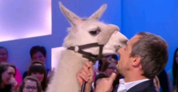 Le Grand Journal : Serge le lama remplace Doria Tillier à la météo – en vidéo