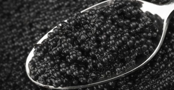 Acheter du caviar pas cher : luxe accessible ou arnaque garantie ?