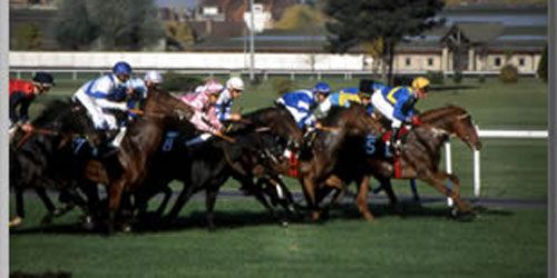 Horse-coaching : des chevaux pour former au leadership