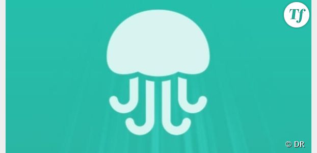 Jelly : la nouvelle appli de Biz Stone, le co-fondateur de Twitter