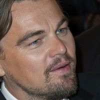 Leonardo DiCaprio victime d'une attaque de requin