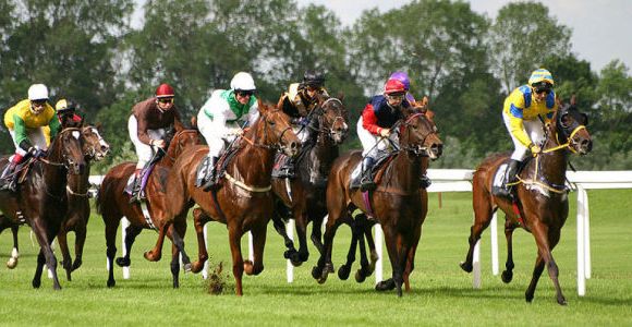 Courses Hippiques : comment intégrer la célèbre école de Gouvieux ?