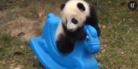 YouTube : une vidéo adorable avec un panda sur un cheval à bascule