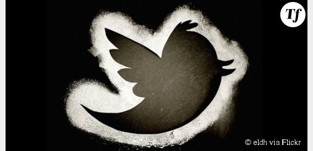 Twitter : mauvais résultats pour le réseau social en 2013