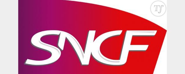 Contrôleurs SNCF et quotas de PV : une note interne fait polémique