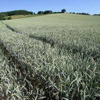 Record de chaleur en France pour le printemps 2011