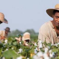 Bafta 2014 : "12 Years a Slave" est sacré meilleur film