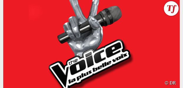 The Voice Belgique : un candidat des Anges au casting ? 