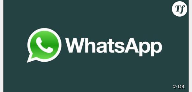WhatsApp : c'est quoi cette application pour envoyer des SMS ? 