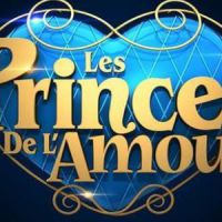 Princes de l’amour : Benjamin en couple avec Priscilla ?