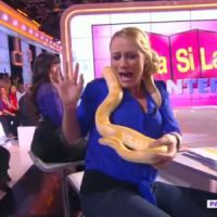 "Touche pas à mon poste" : Élodie Gossuin paniquée face à un serpent - vidéo