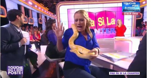 "Touche pas à mon poste" : Élodie Gossuin paniquée face à un serpent - vidéo