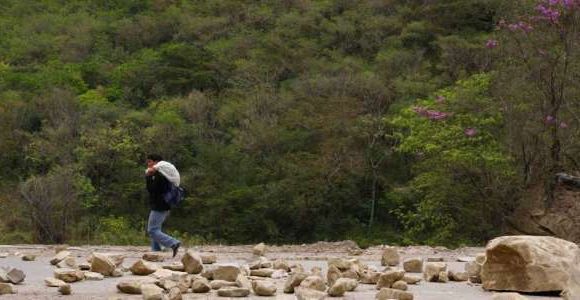 Enlèvement d'enfants : une fillette marocaine retrouvée dans la forêt amazonienne
