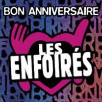 Enfoirés 2014 : le concert en direct et sur TF1 Replay