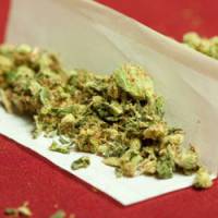 Drogues : Daniel Vaillant prône la légalisation du cannabis