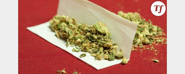 Drogues : Daniel Vaillant prône la légalisation du cannabis