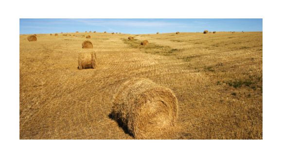 Sécheresse : la SNCF(Geodis)  et l’Armée viennent en aide aux agriculteurs