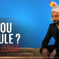 L'oeuf ou la poule ? : 3 bonnes raisons de regarder l'émission d'Hanouna sur D8