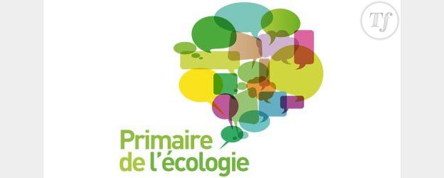 Résultats de la primaire Europe Écologie-Les Verts le 29 juin