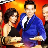 The Voice 2014 : les salaires (très inégaux) de Mika, Jenifer, Garou et Florent Pagny révélés