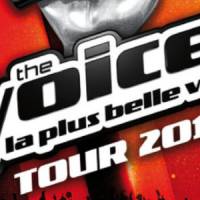 "The Voice Tour 2014" : Stéphan Rizon et Yoann Freget sur scène avec les nouveaux candidats