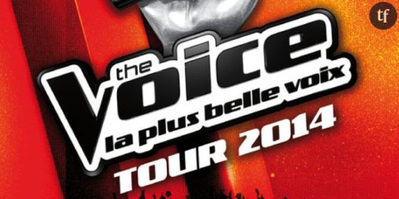 "The Voice Tour 2014" : Stéphan Rizon et Yoann Freget sur scène avec les nouveaux candidats