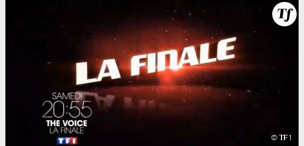 Gagnant The Voice 2014 : Maximilien, Kendji, Amir ou Wesley ? (TF1 Replay)