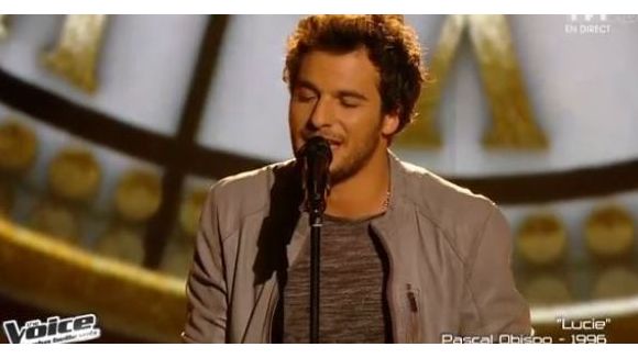 Gagnant The Voice 2014 : Amir Haddad, le dentiste qui a charmé le public