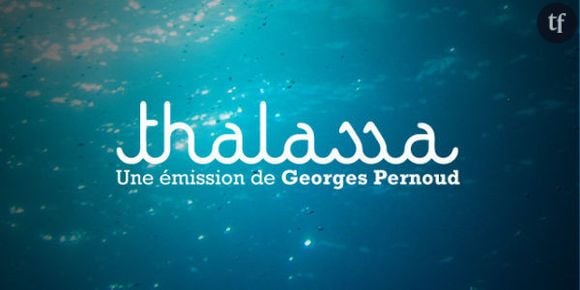 Thalassa : un drame évité de justesse dans le Morbihan