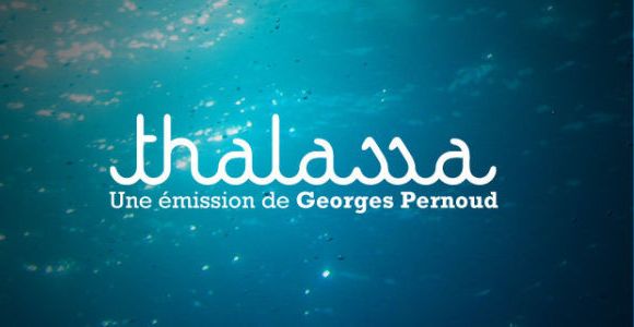 Thalassa : un drame évité de justesse dans le Morbihan 