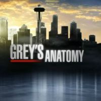 Grey’s Anatomy Saison 10 : l’épisode 24 et la fin en streaming VOST