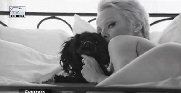 Pamela Anderson : sa révélation choc au sujet de son viol