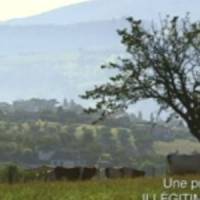 Allergies : dangers et solutions sur France 5 Replay