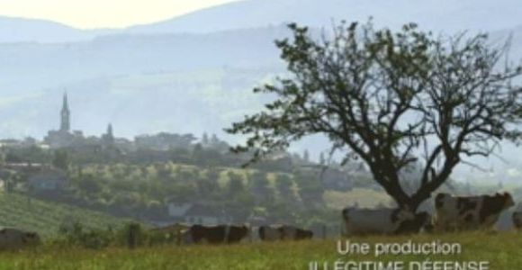 Allergies : dangers et solutions sur France 5 Replay