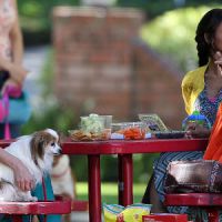 "Devious Maids" : la saison 1 diffusée cet été sur M6 