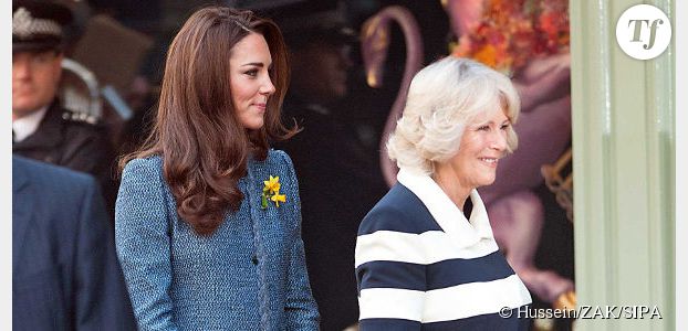 Kate Middleton : un scandale sexuel pour Camilla ?