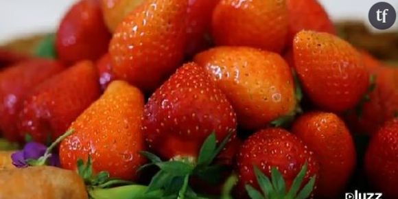 Fraises : scandales et business autour du fruit star de l’été – France 5 Replay / Pluzz