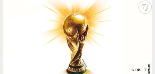 Coupe du monde Brésil : comment regarder l'intégralité des matches sans s'abonner à Bein Sport 